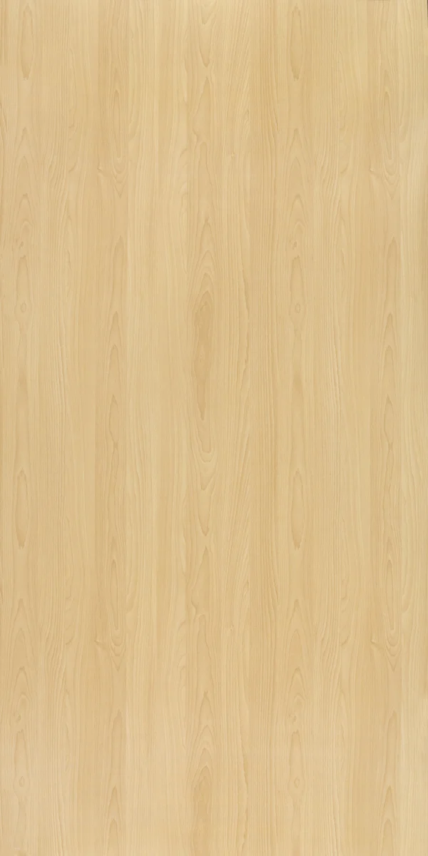 Intal Beech