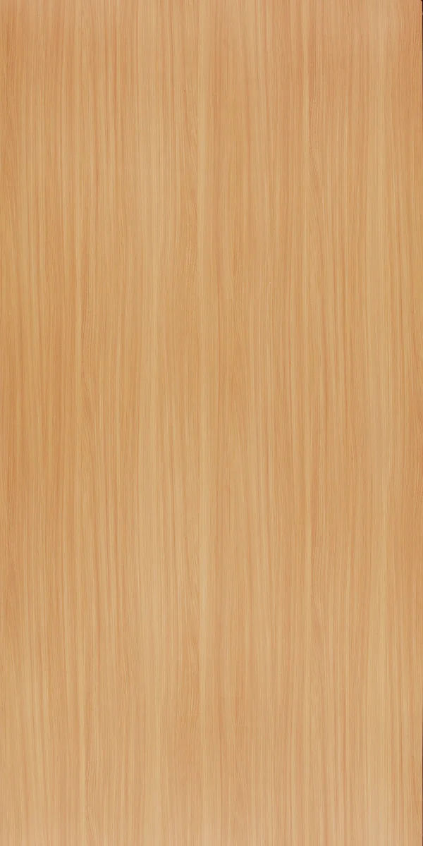 Vienna Elm