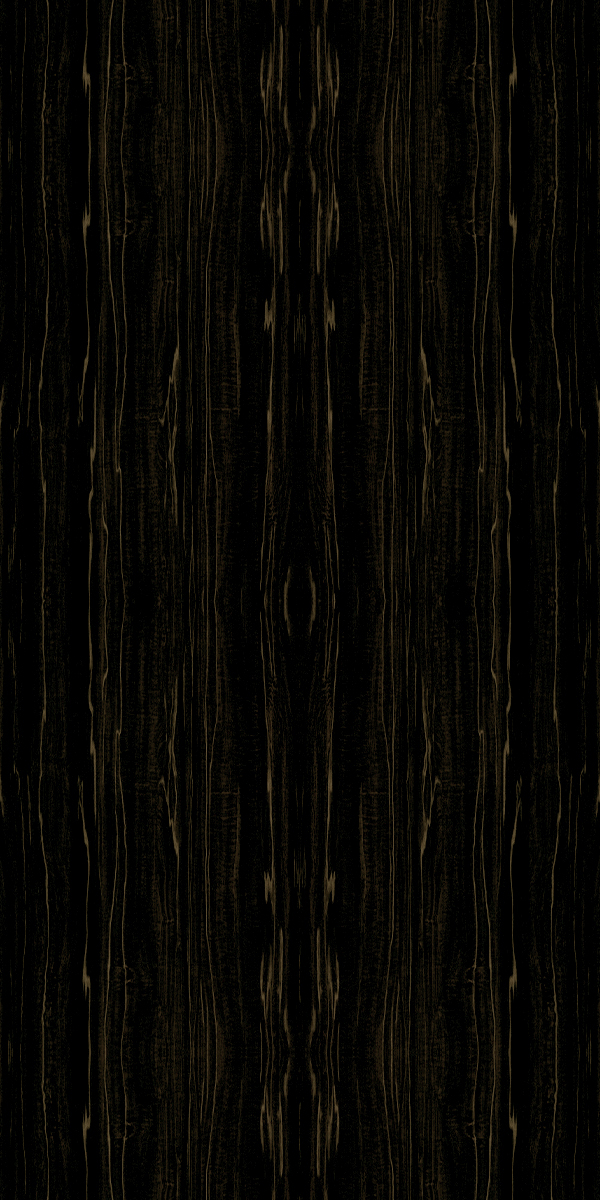 Dark Woods
