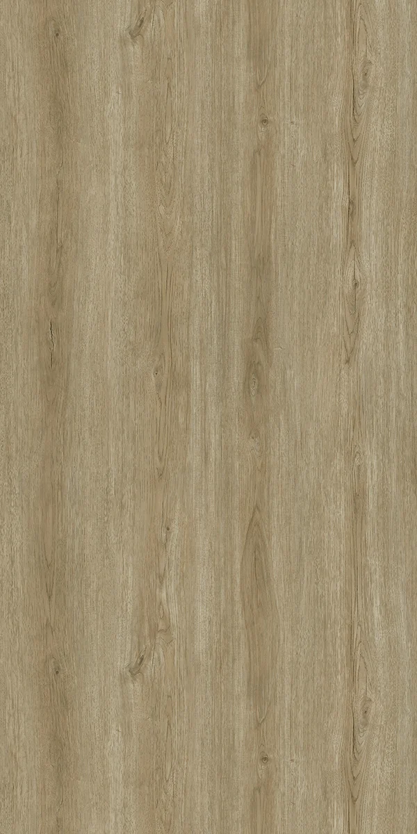 Timor Oak