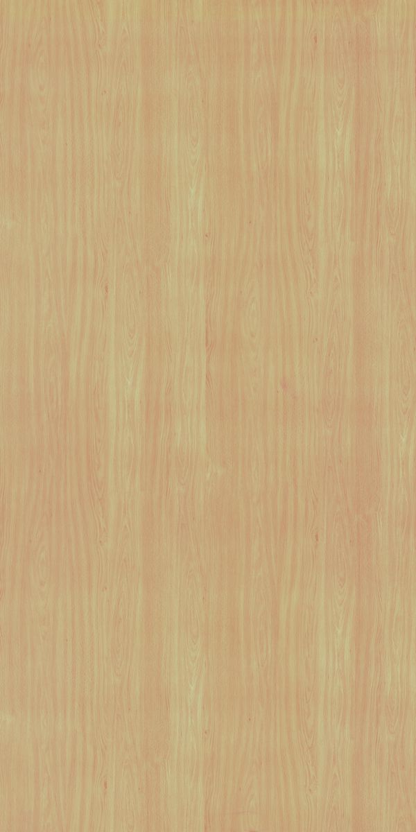White Beech