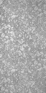 940-Neptuno-Pearl-SAT_2