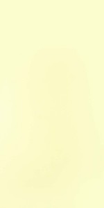 ivory-121-sud-c