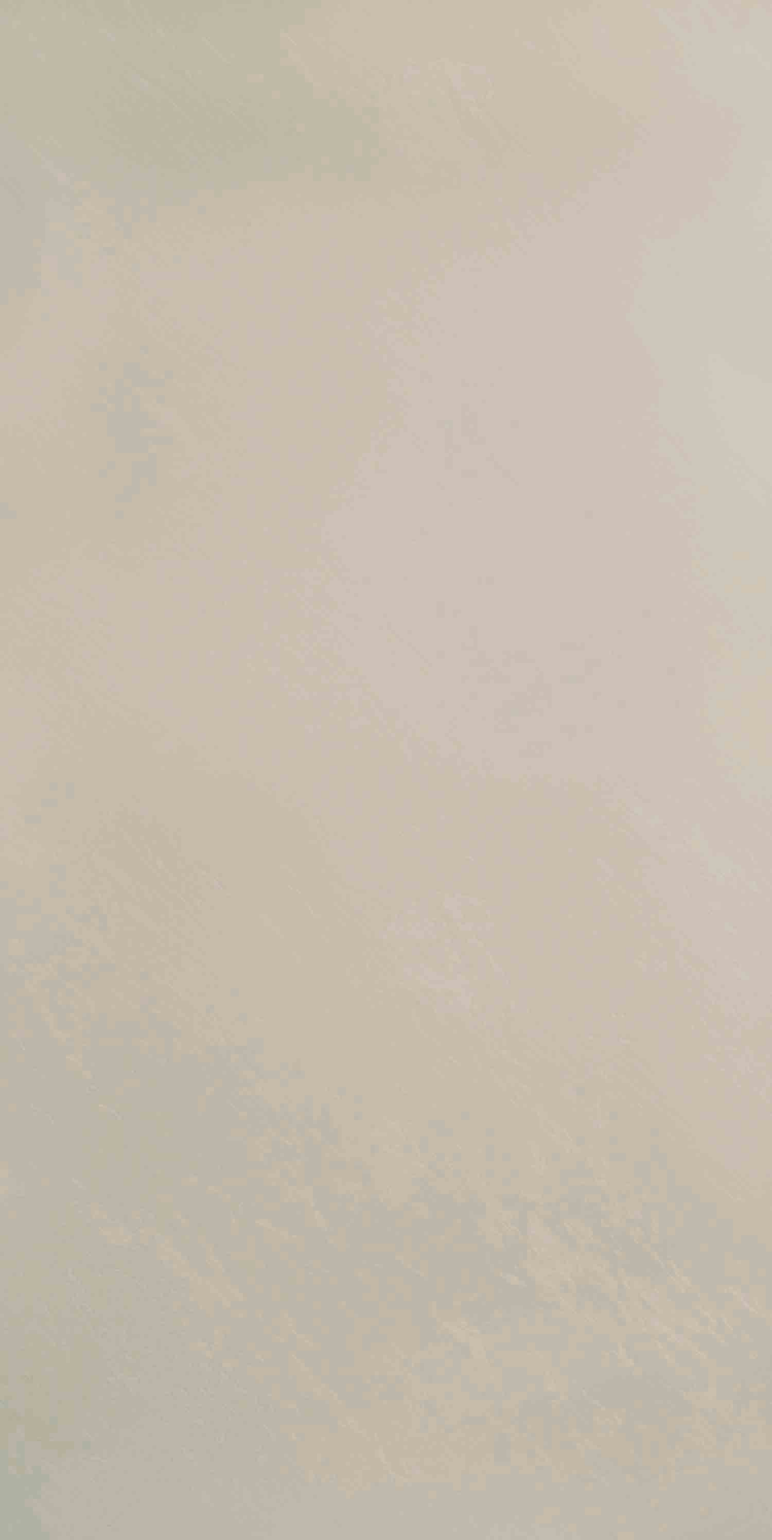 Beige 163 SO