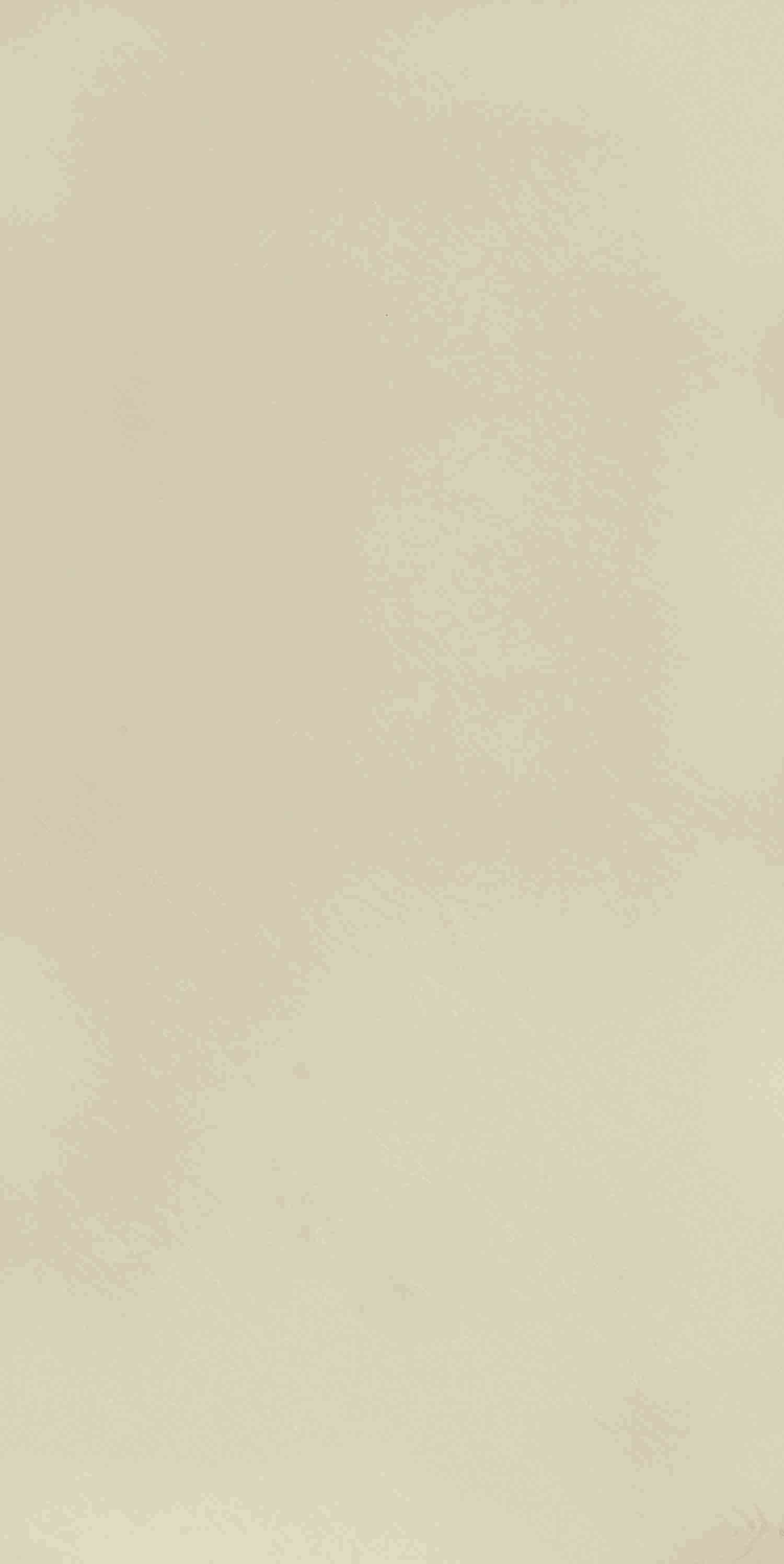 Frosty White 111 SO